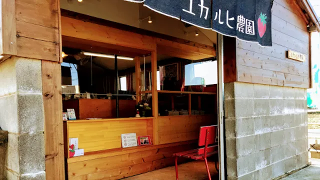 ユカルヒ農園 東金いちご生産直売