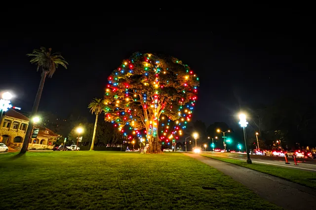 Uncle John’s Christmas Tree