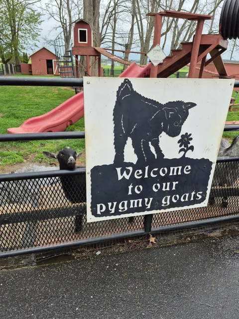 Pygmy Goat Petting Zoo