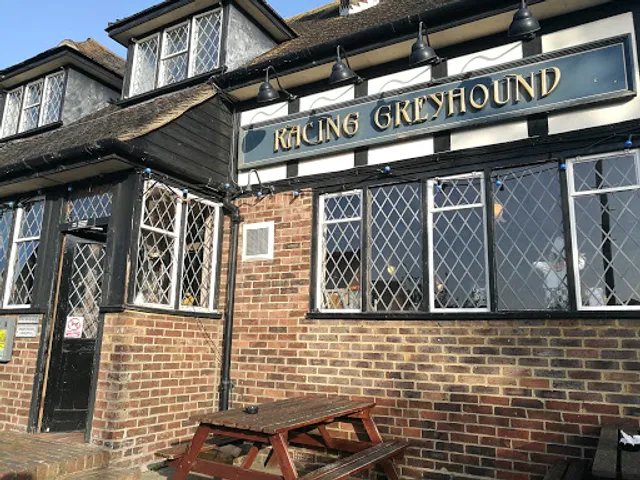 The Racing Greyhound