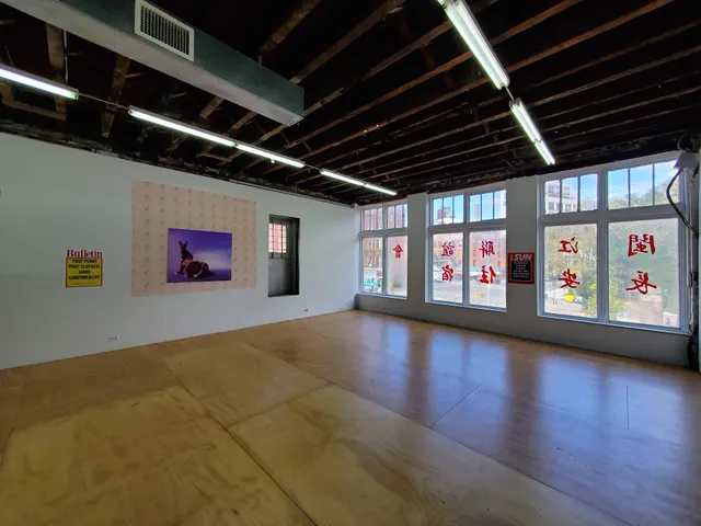 Reena Spaulings Fine Art