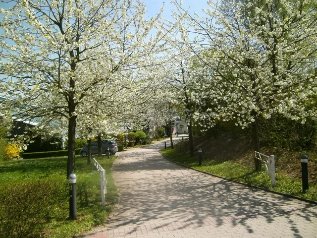 Sportpark Jürgen Fassbender