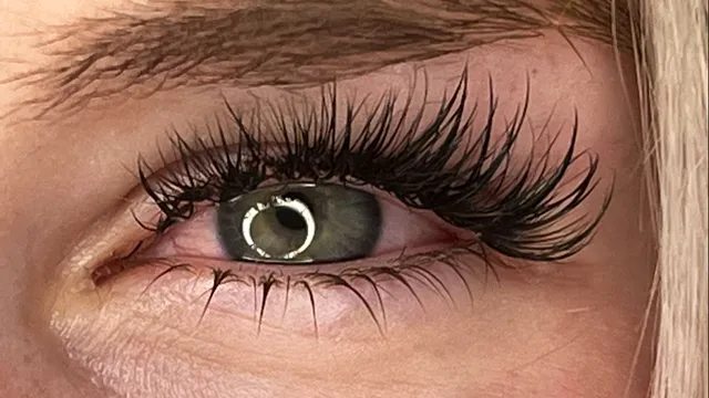 The Lash Haven Beauty Bar