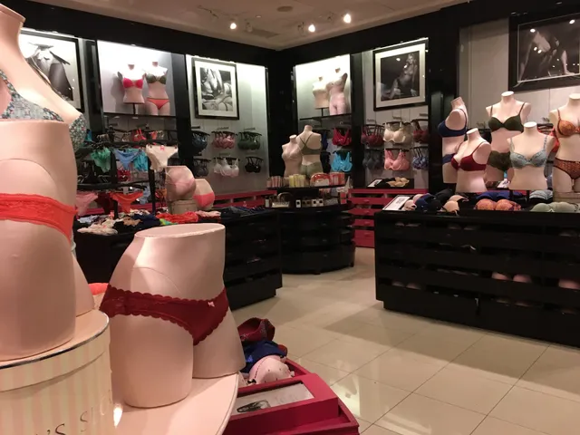 Victoria's Secret & PINK