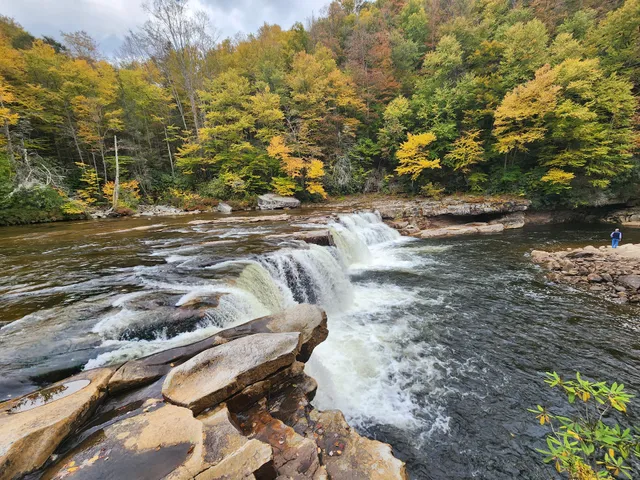 Train Stop, New Tygart Flyer, Durbin & Greenbrier Valley Railroad