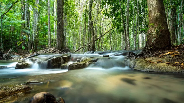 Champaign County Forest Preserves