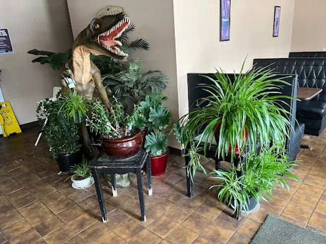 Yummy Inn Chinese Restaurant