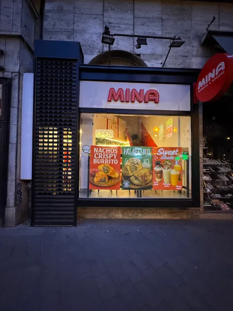 MINA Burrito