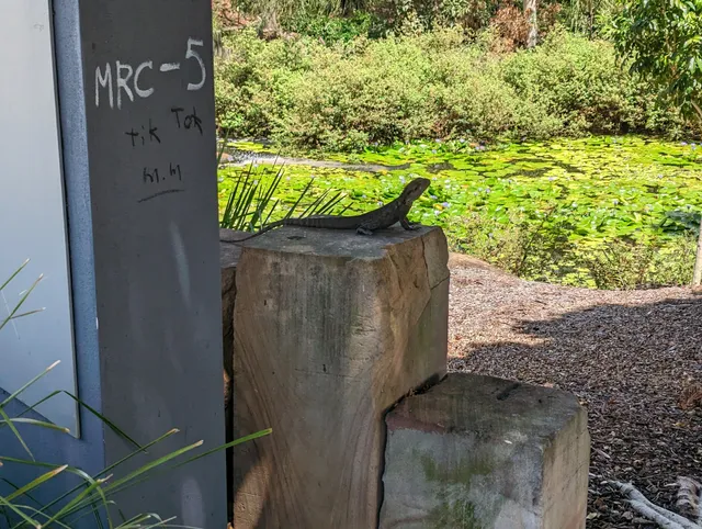 Springfield Central Parklands