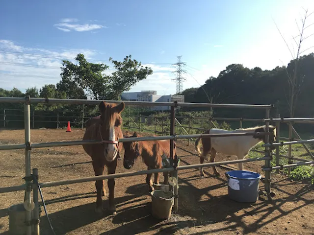 しゃべりっちょ牧場