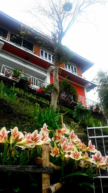 RONGO WHITE HOUSE STAY