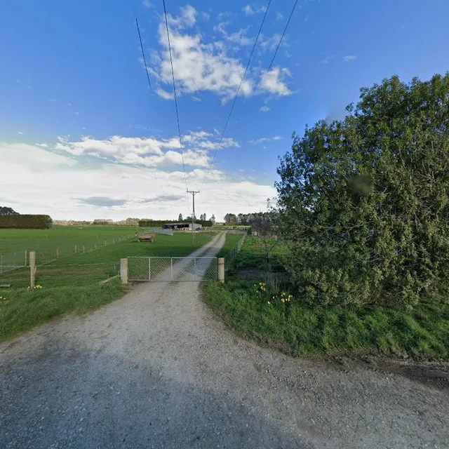 Southern Sheep Farm Tours