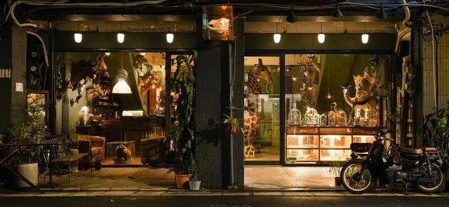 遷鳥陳列所咖啡吧cabinet of migrants cafe bar