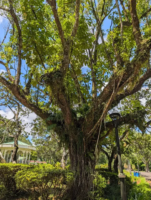 Curepipe Botanic Gardens Parking