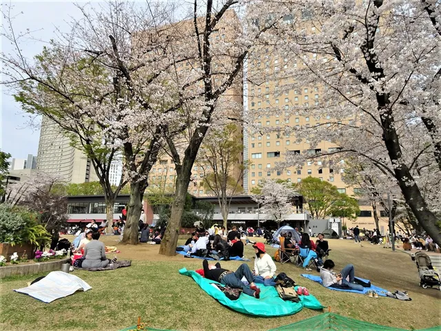 Shinjuku Central Park Lawn Square (East)