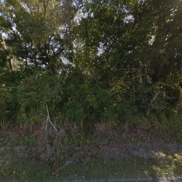 Silver Springs Water Tower