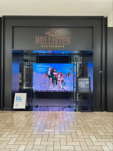 Hollister Co.