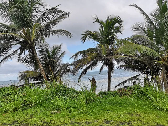 Douglas-Charles Airport