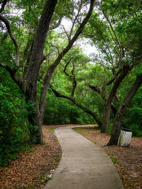 Shoreline Park Nature Trail