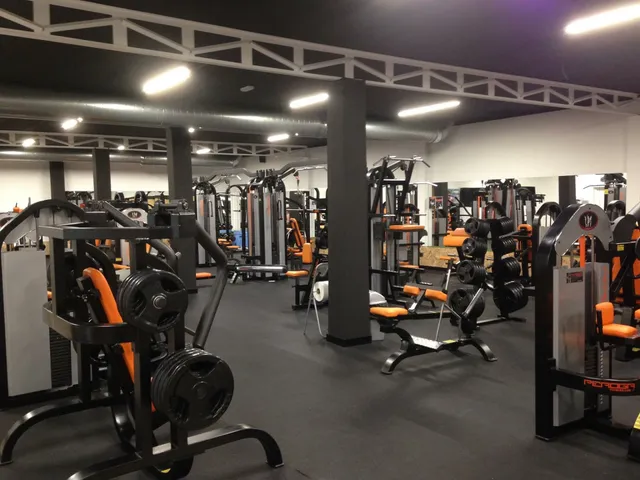 IronSweat Muscle Center