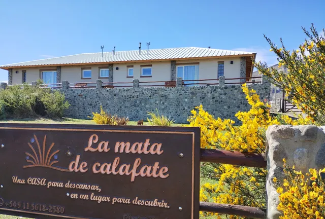 La mata de calafate