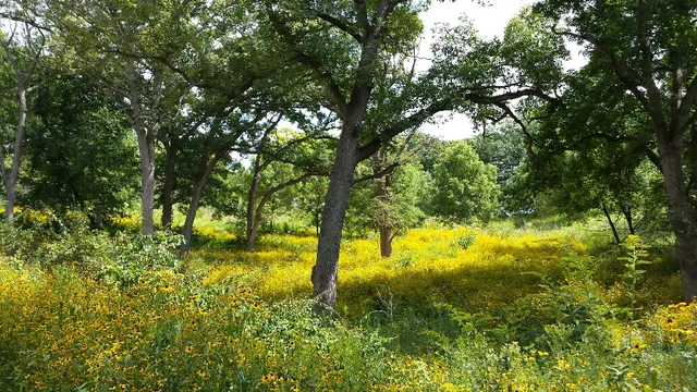 Prairieview Education Center