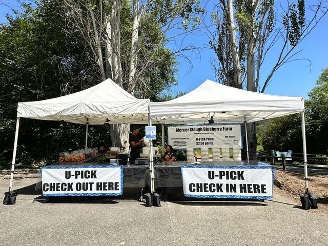 Mercer Slough Blueberry Farm