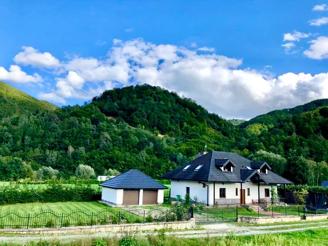 Willa Jagoda Domek w górach