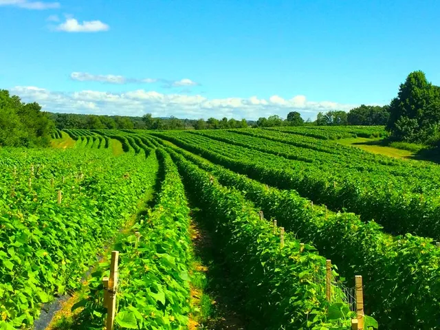 Southern Valley Fruit & Vegetable, Inc.