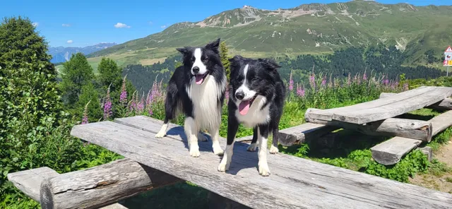 Ferienwohnungen Allegra