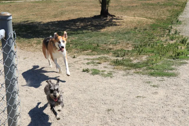 Uplands Dog Off Leash Park