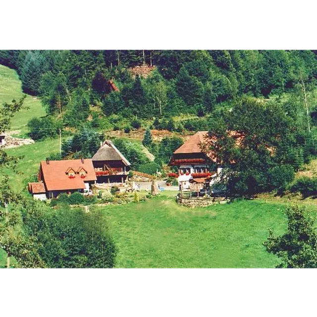 Ramsteinerhof in Fischerbach - Ulrich Müller
