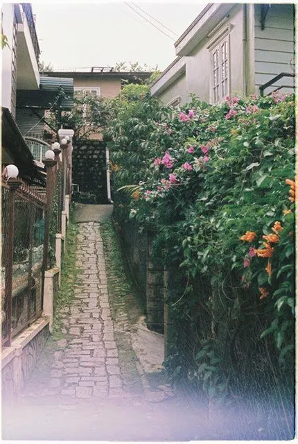 Merry Yard Homestay Dalat