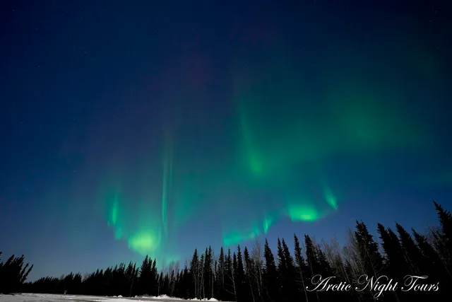 Arctic Night Tours