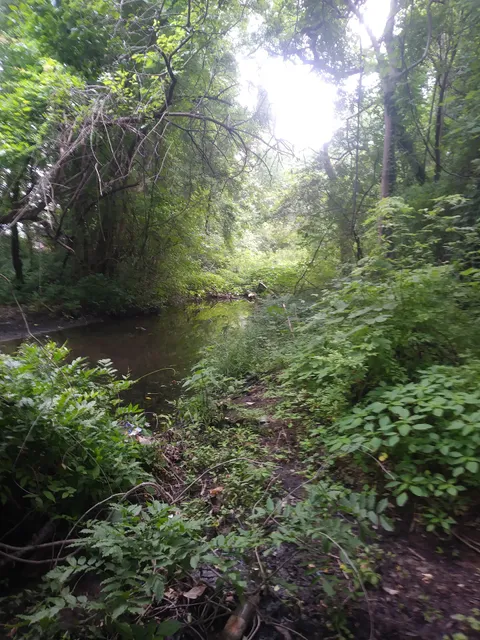 Monticello Village Park