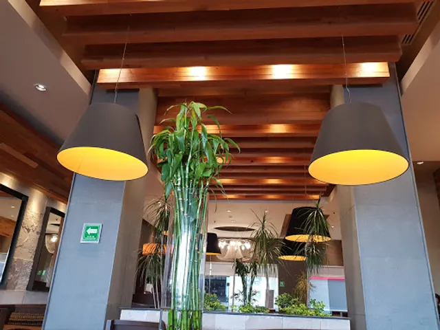 Toks Irapuato Cibeles