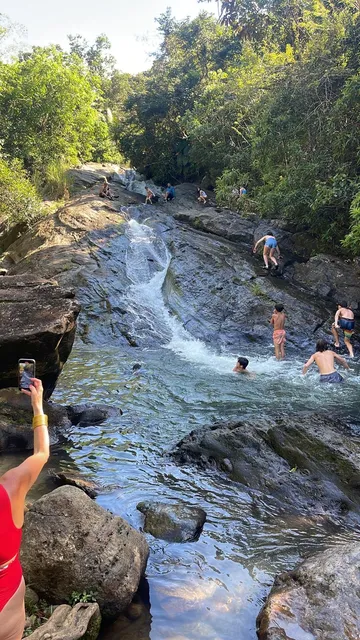 El yunque rainforest tours & transportation