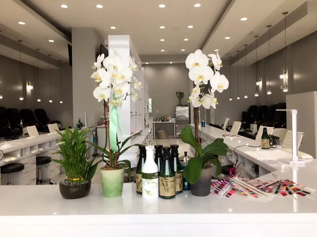 Polished Nails And Hair Baltimore