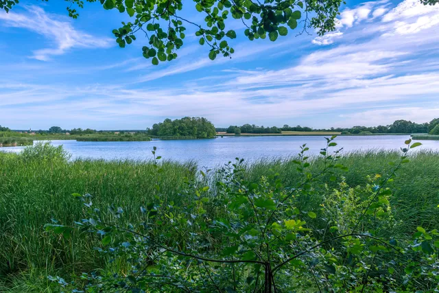 Vogelbeobachtungsstelle am Frauenteich