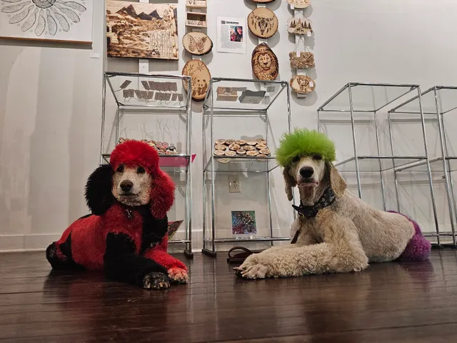 Sassy Paws Grooming LLC