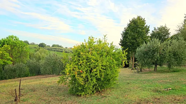 Country House Nazzano
