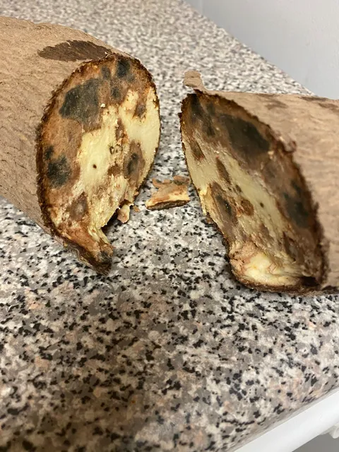 Winners International Foods