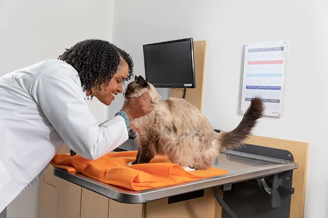 Banfield Pet Hospital