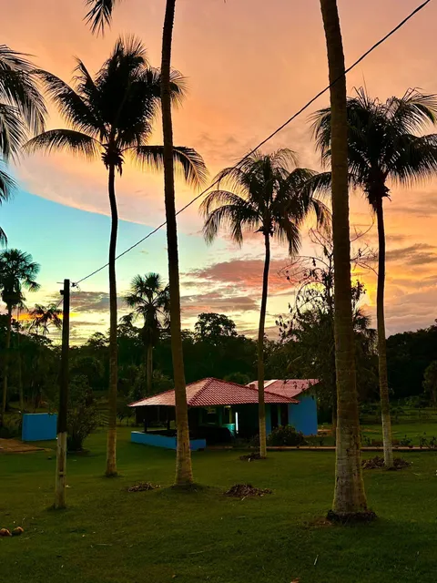 Fazenda Oásis do Pará