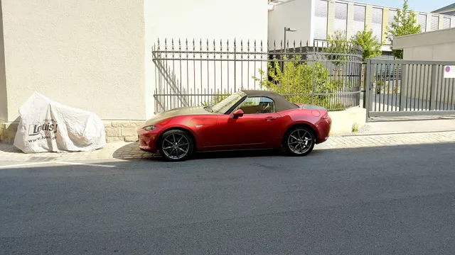 Sonnenblumenhaus Bamberg