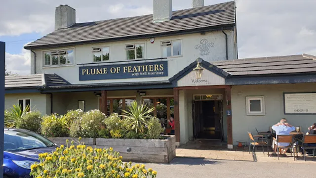 The Plume of Feathers