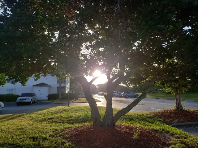 Ventura Resorts & Properties