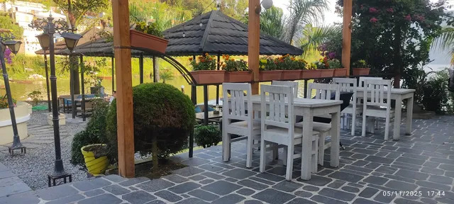 Palm Beach and Lounge