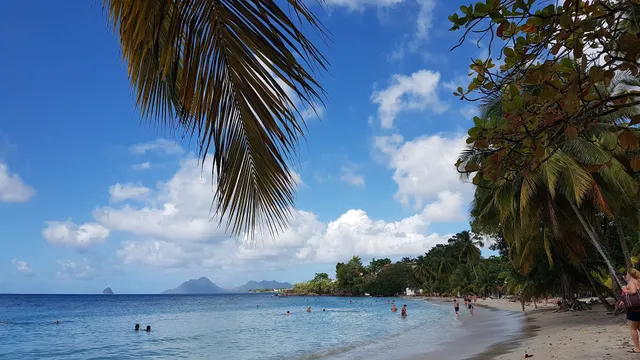 Anse Figuier, Martinique