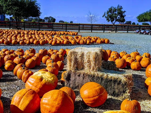 Dell'Osso Family Farm